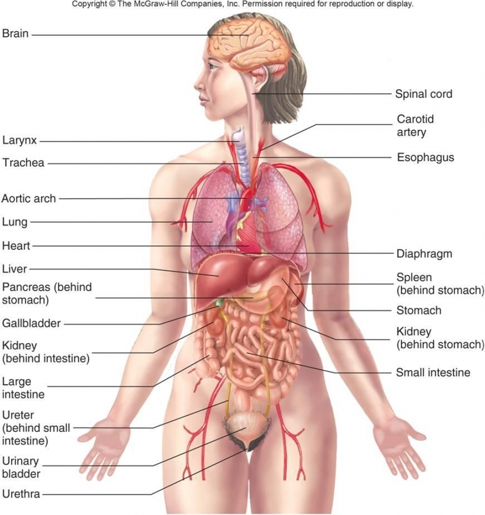 human-systems